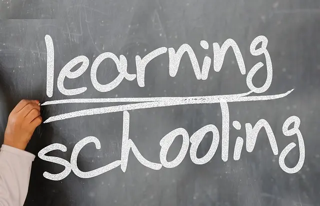 Cómo elegir la plataforma de e-learning ideal para tus necesidades